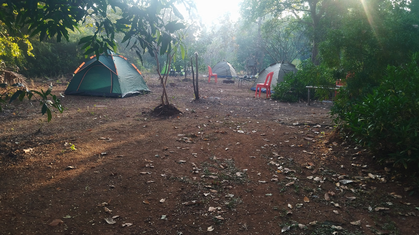Malshej Riverside Camping Experience