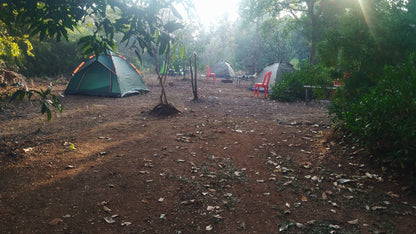 Malshej Riverside Camping Experience