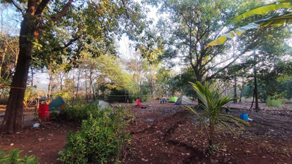 Malshej Riverside Camping Experience