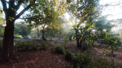 Malshej Riverside Camping Experience